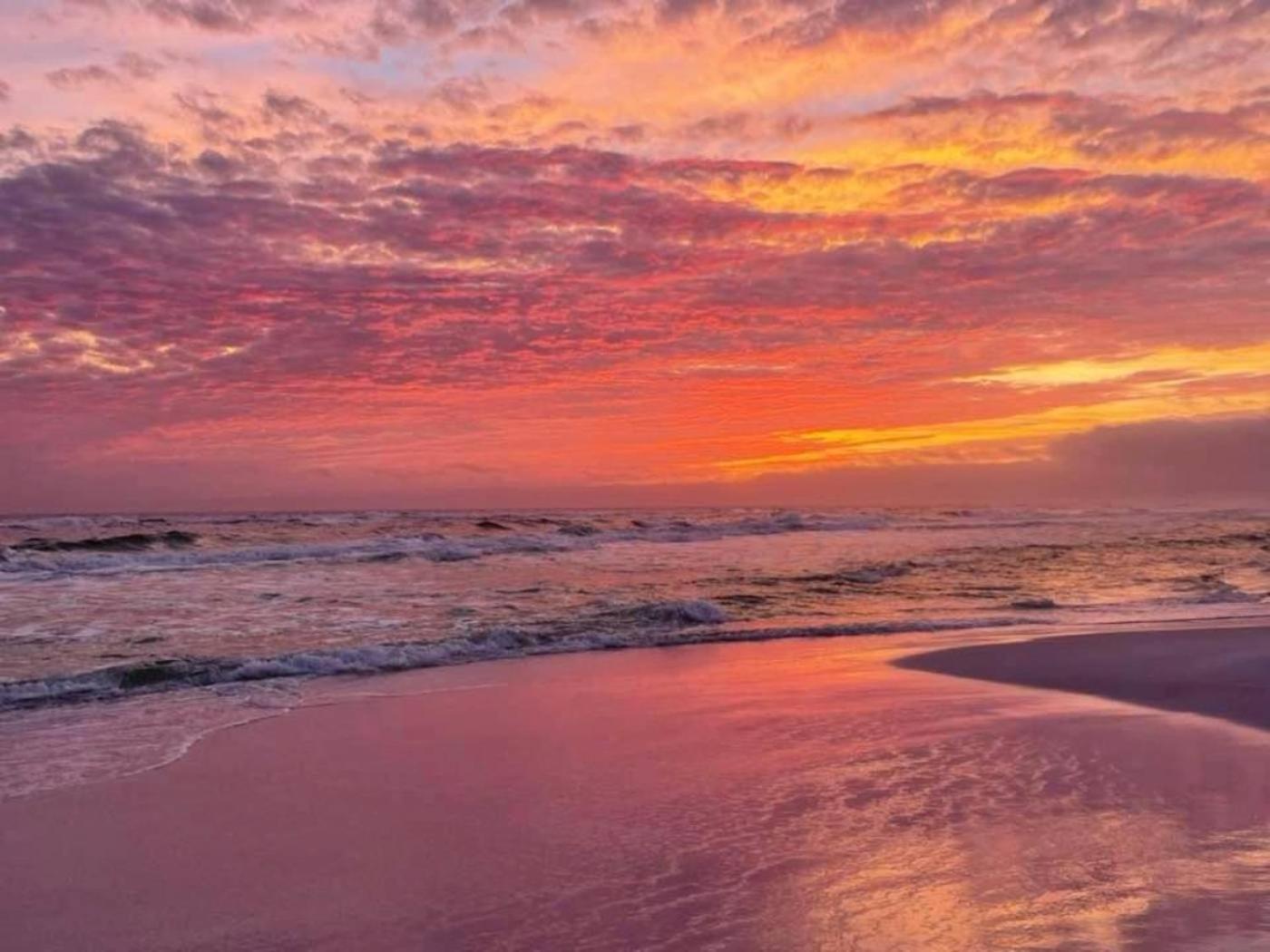 Sunrise Surprise 9Th Floor 2Br 2 Ba King Suite Beach Shuttle, Heated Pool! Destin Exterior foto